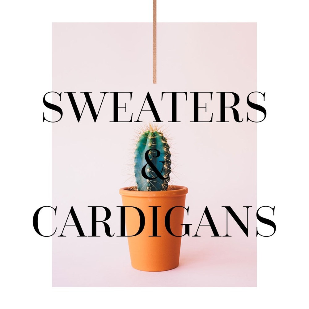 Sweaters & Cardigan Section